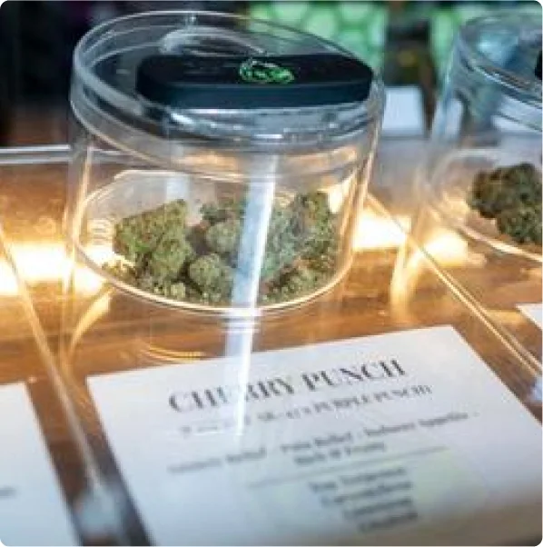 Medical cannabis was legalized in Montana in 2016. Flower's premium cannabis is grown in Montana, just 15 minutes outside Missoula.