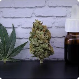 Medical cannabis was legalized in Montana in 2016. Flower's premium cannabis is grown in Montana, just 15 minutes outside Missoula.