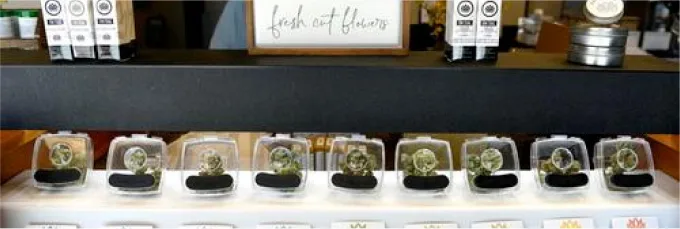 Medical cannabis was legalized in Montana in 2016. Flower's premium cannabis is grown in Montana, just 15 minutes outside Missoula.