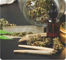 Montana grown cannabis