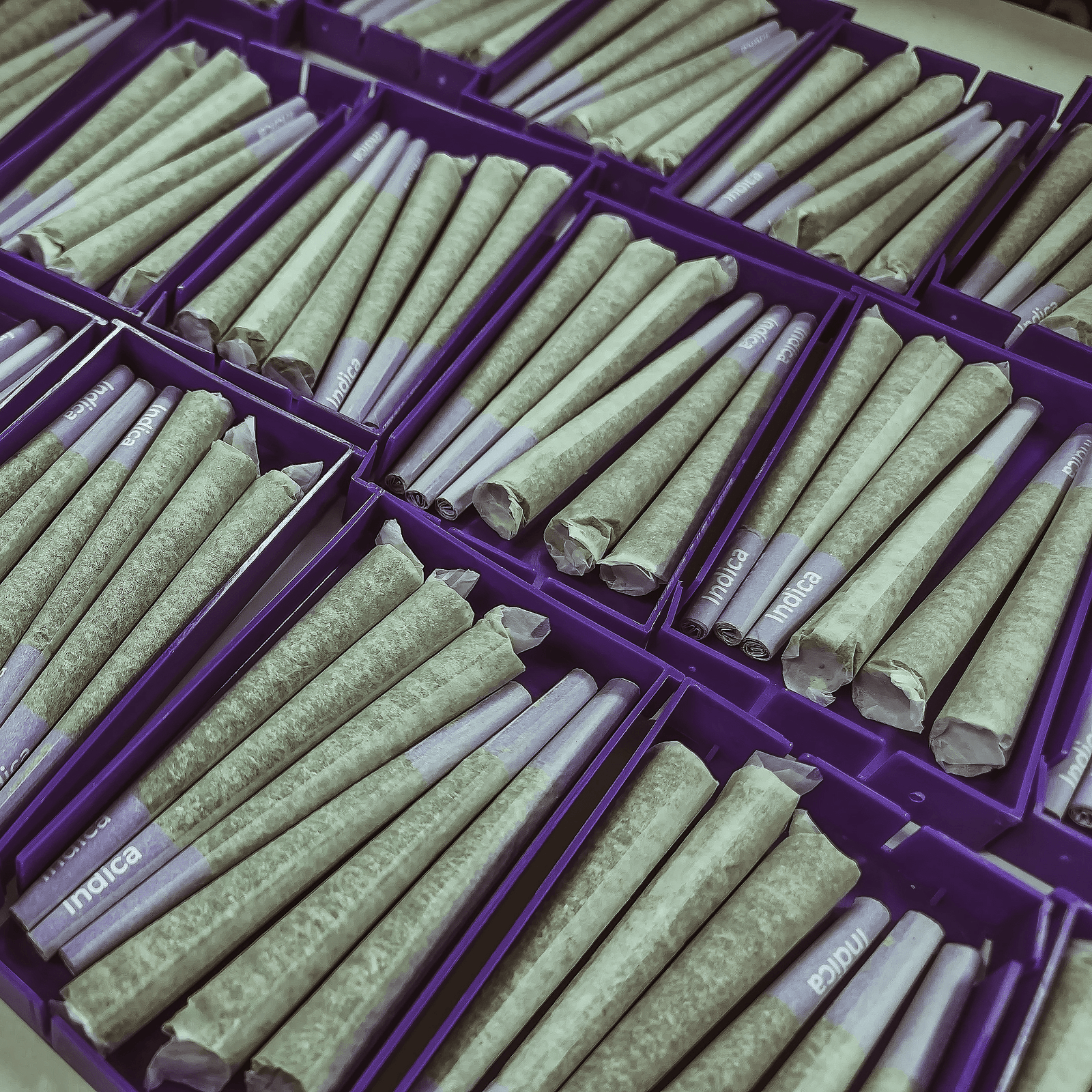 Montana grown pre-rolls. High quality and the best in Missoula.